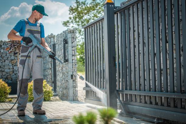 Best Roof Cleaning and Mildew Removal in Remsen, IA